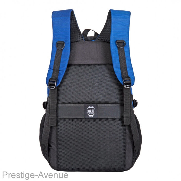 Молодежный рюкзак MERLIN S2018 синий