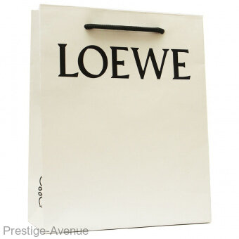 Подарочный пакет Loewe 18x22 см