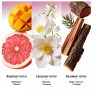 O.TWO.O PF04-02 Парфюм HONEYGLOW - Grapefruit Mousse 15 ml