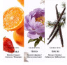 O.TWO.O PF05-02 Парфюм Marble Fruit Bouquet Perfume - Sunny Paris 25 ml